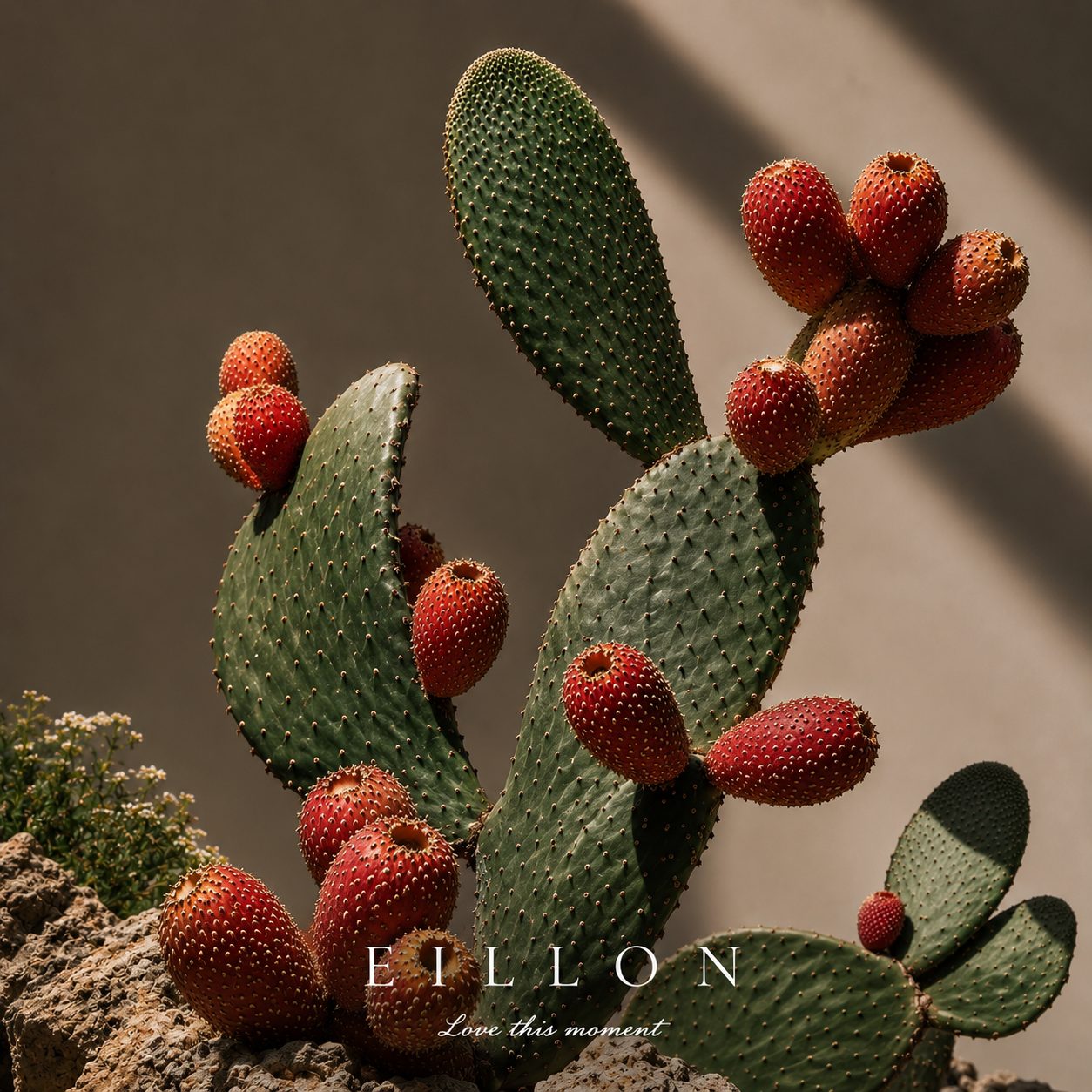 Beles · Fico d'India — prickly pear editorial
