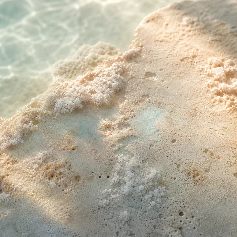 Porous coral-toned limestone with salt-white mineral edges in close detail.